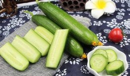 网红瓜不甜沾酱吃,沾酱吃出新风味